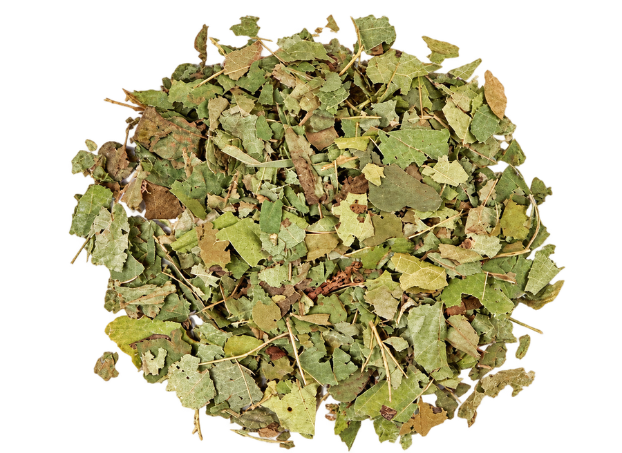 Witch Hazel