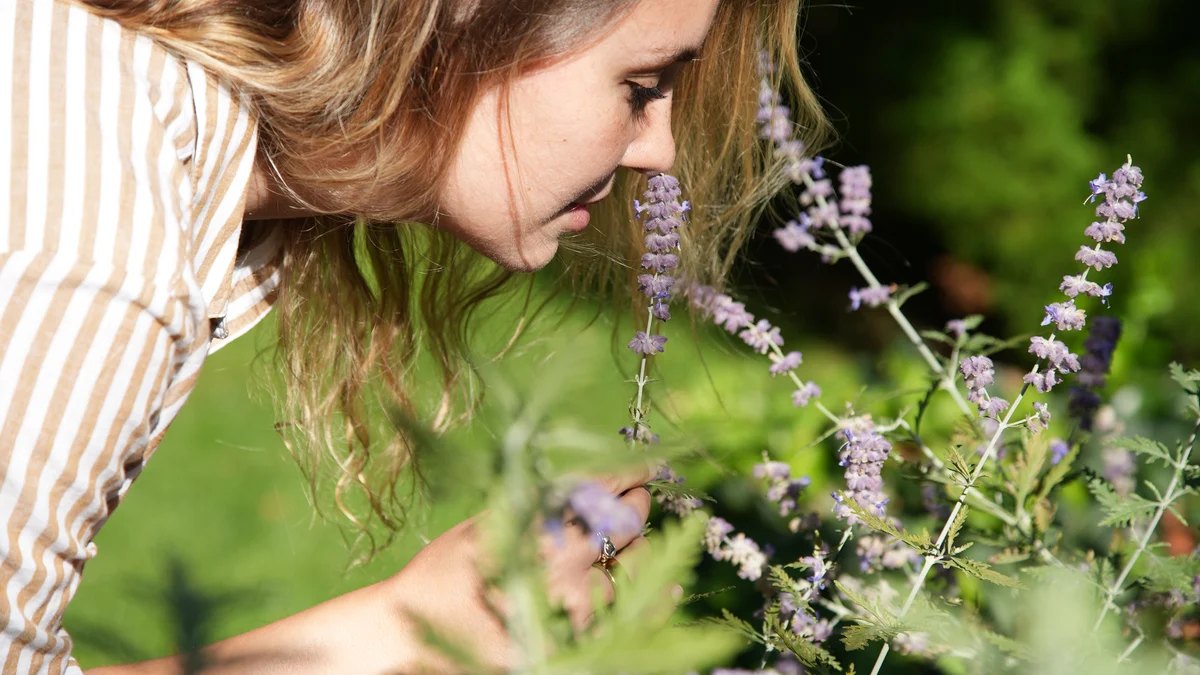In the garden