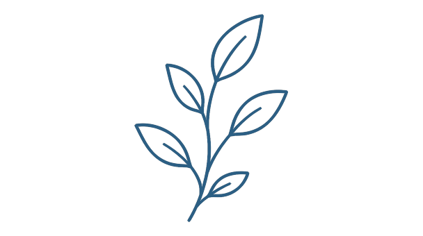 Five whole botanicals