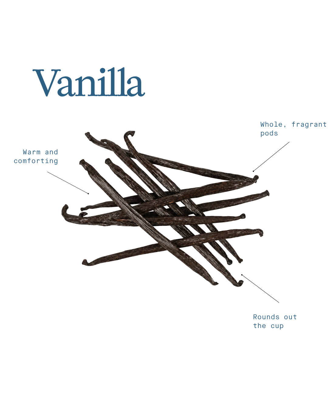 Vanilla