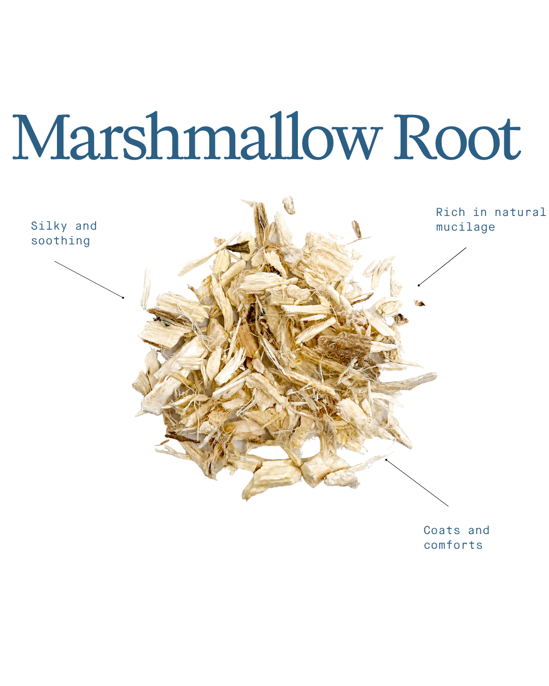 Marshmallow Root