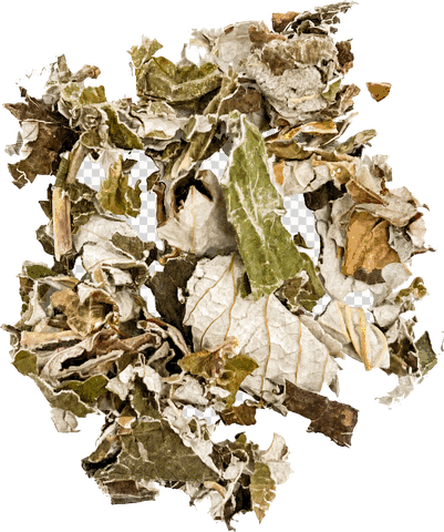 Spring botanical