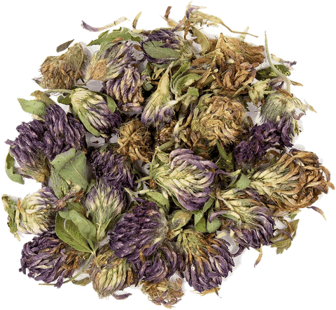 Spring botanical