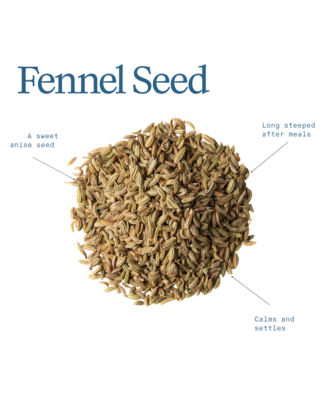 Fennel Seed