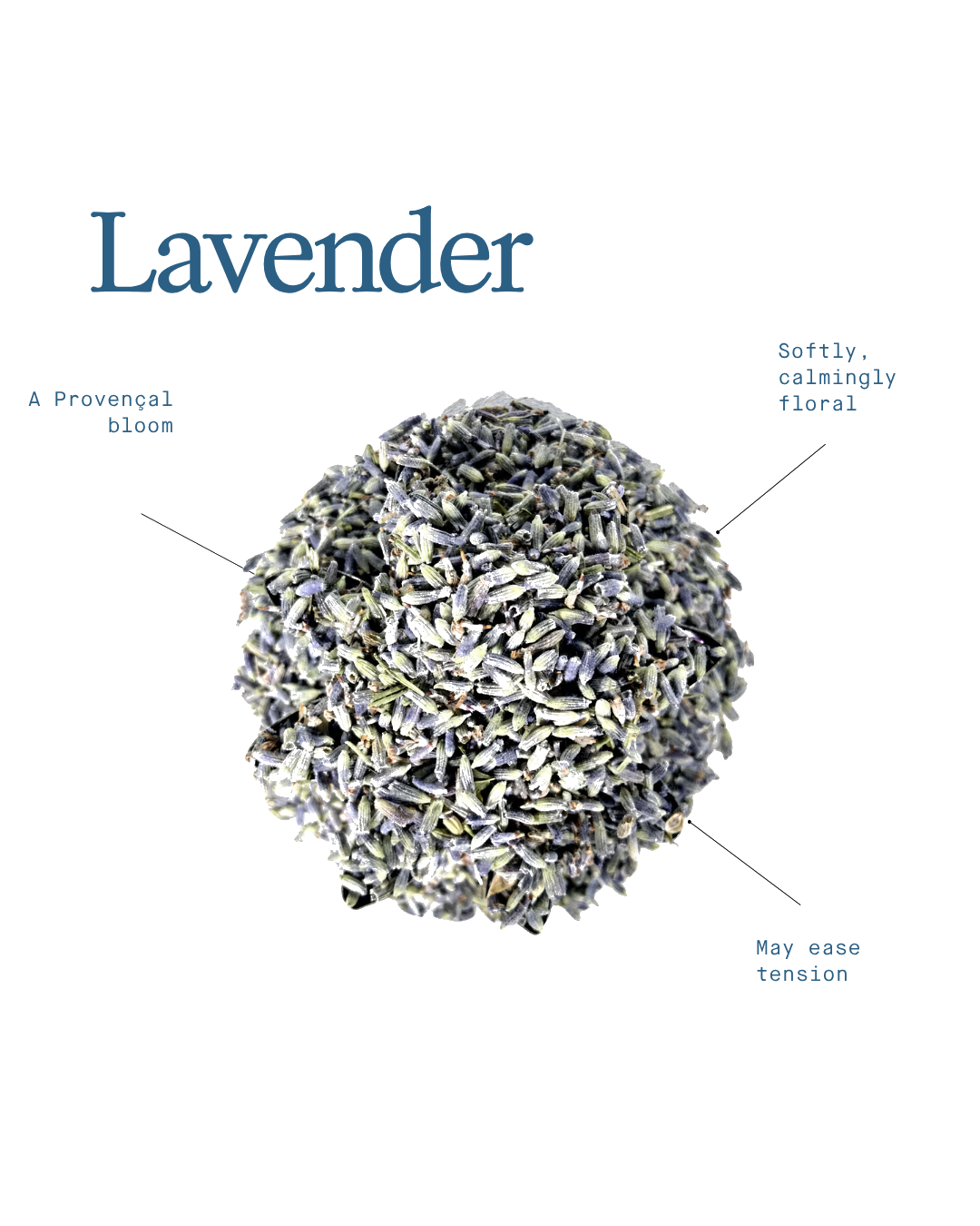 Lavender