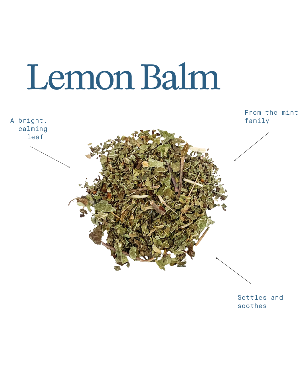 Lemon Balm